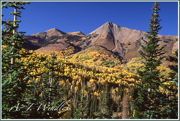 Above the timberline this peak is bare, but below the line she is full of fall color.