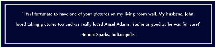 A quote about Ansel Adams.
