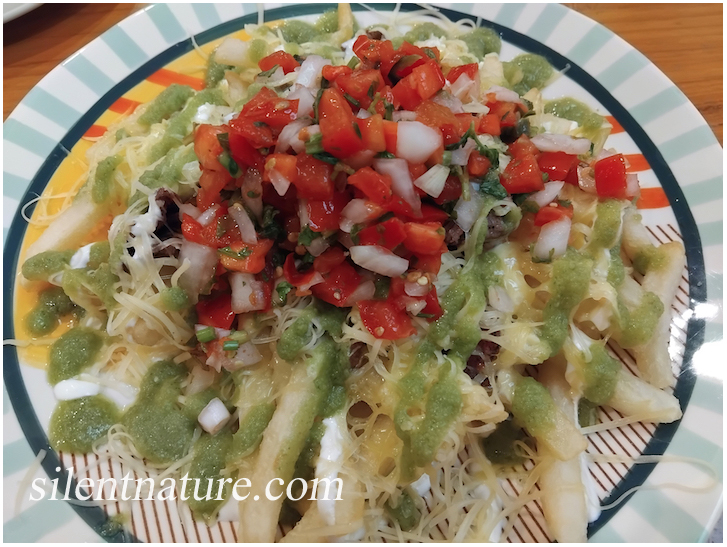 Carne Asada Fries from Sunrise Taco in Bangkok