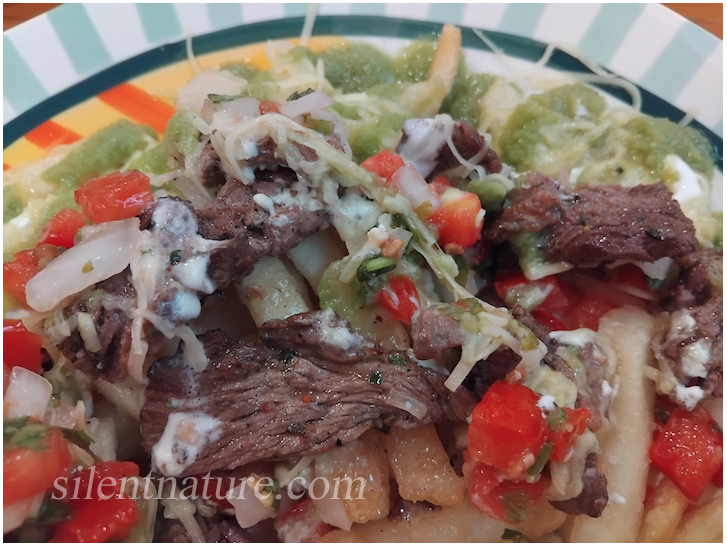 Carne Asada Fries with a surprising amount of tasty meat under the toppings.