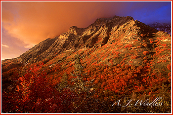 This is the thumbnail for my Utah Fall gallery. It is a photo of a mountainside covered with maples red with autumn illuminated by a beam of the setting sun.