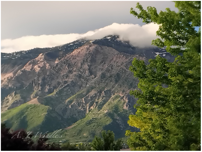 Ben Lomond peak as seen from my new back porch.