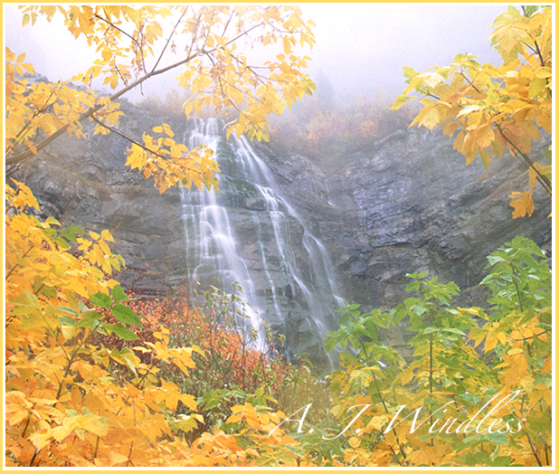 Bridle Viel Falls Foggy Fall Colors