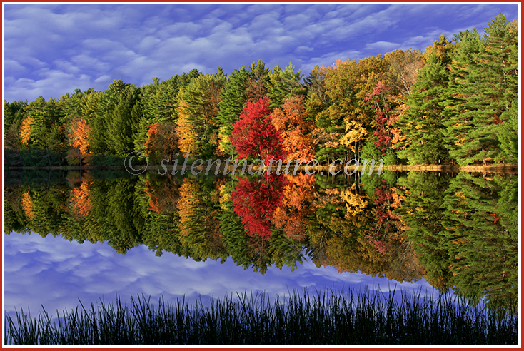 Brilliant fall colors reflect off the serene waters of this Pennsylvania lake.