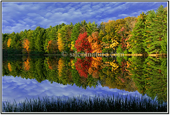Brilliant Autumn Reflections
