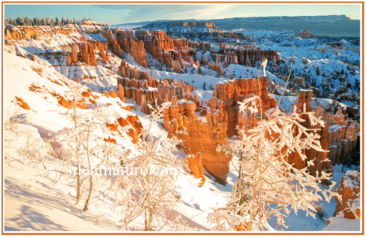 Winter Lover's Bryce Canyon Trail