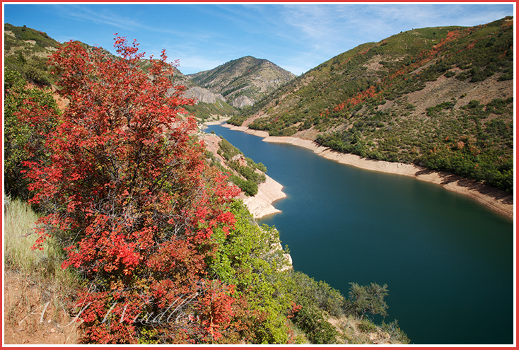 A lone maple, arrayed in the red leaves of fall, overlooks a remote Utah mountain lake.
