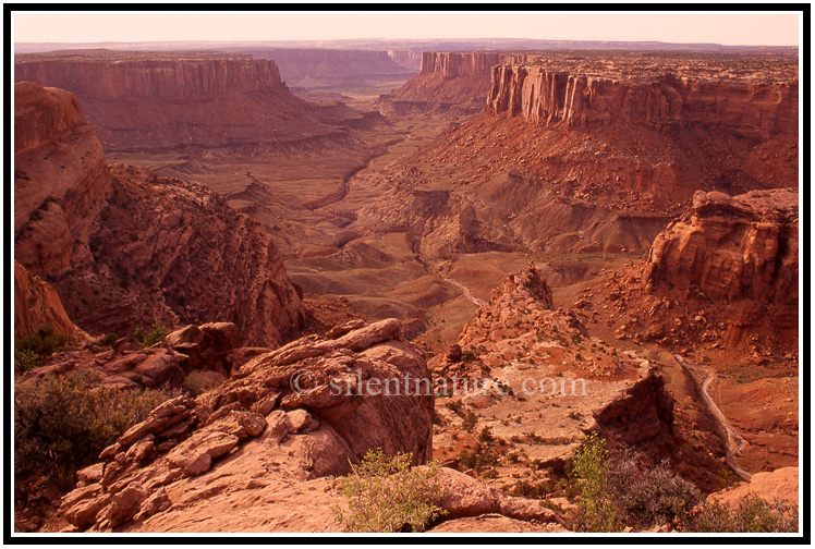 Stunning overlook of canyonlands
