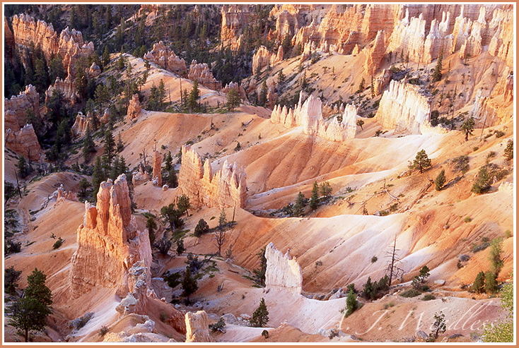 From this overlook the Bryce Canyon hoodoos look like castles in the sand.