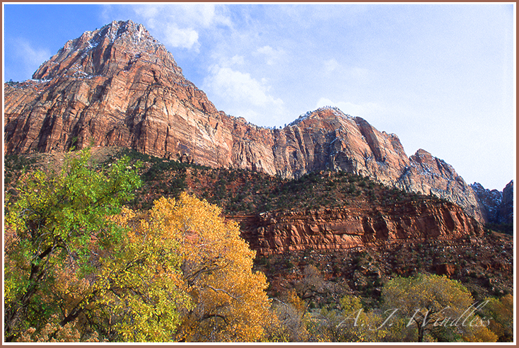 The walls of Zion seem to glow with color in the sunlight while fall leaves complete the color palette.