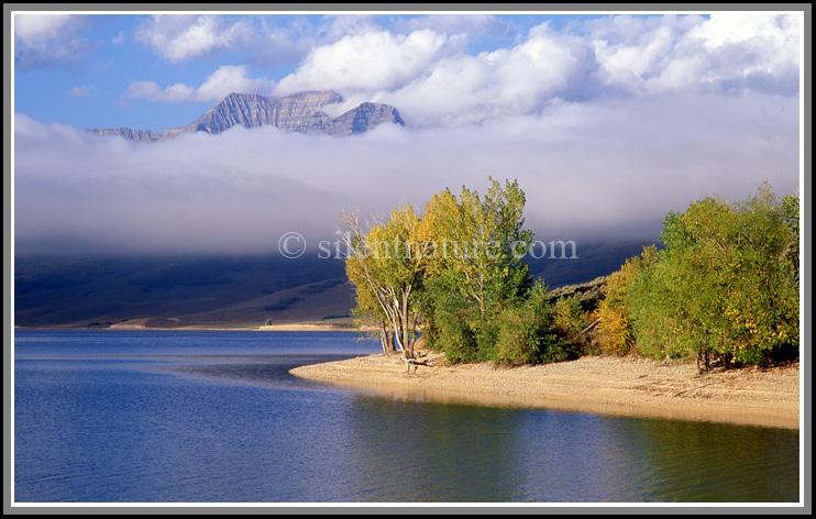With fall colors adourning the island, and Mt. Timpanogas rising in the background, early in the morning a cloud begins to lift off the surface of Deer Creek Reservoir.