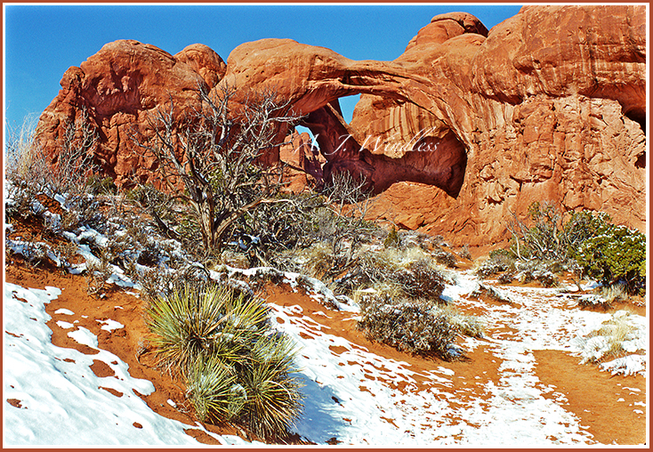 Double Arch with an arrangement of plants and patterns of fallen snow.