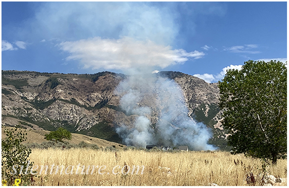 Two columns of smoke clearly indicate two fire origins.