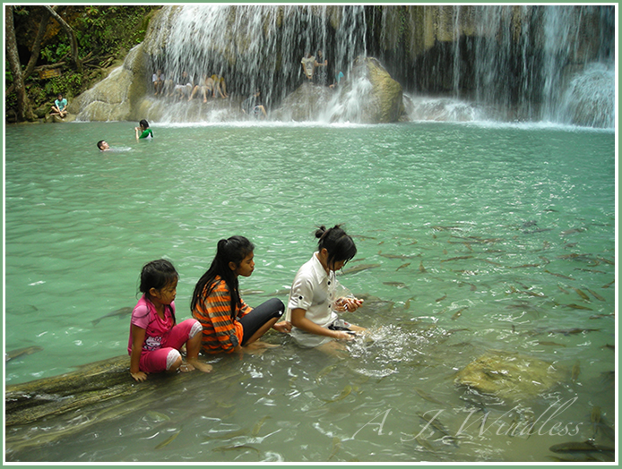 Three Thai girls sit in the water surrounded by fish at Erawan Falls.