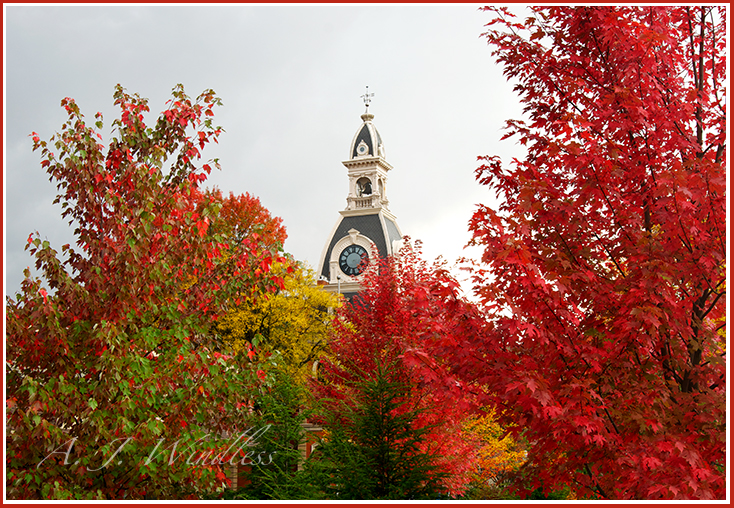 This clock tower rises up through beautiful fall colors.