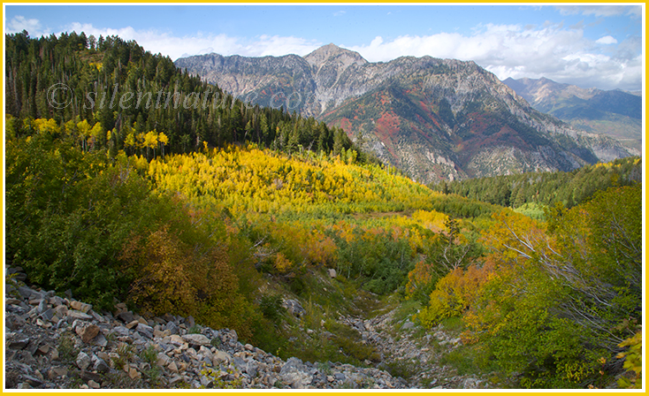 Sweeping view of the autumn colors from high on the mountain.