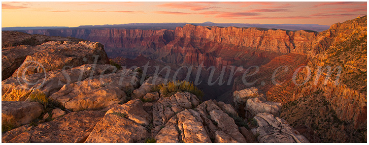 Sunset Light on the Grand Canyon