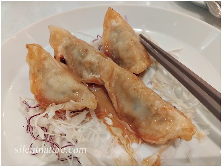 Gyoza is served with the cheese covered salmon.