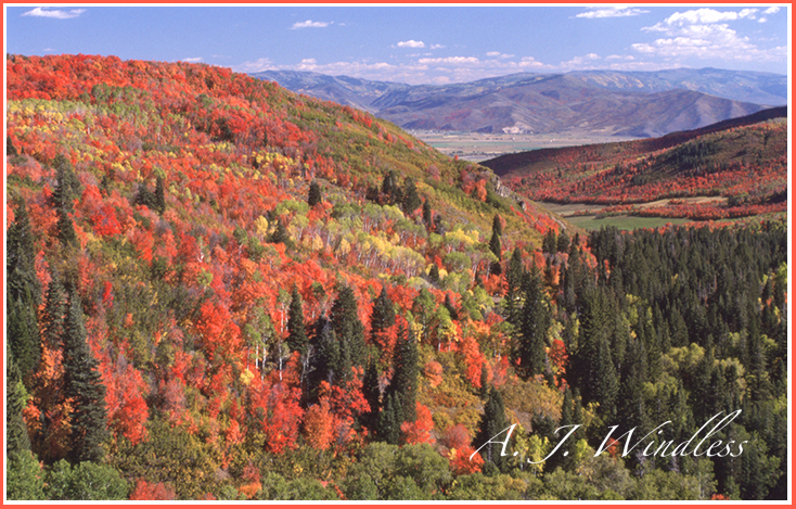 Heber Valley with Autumn Hills