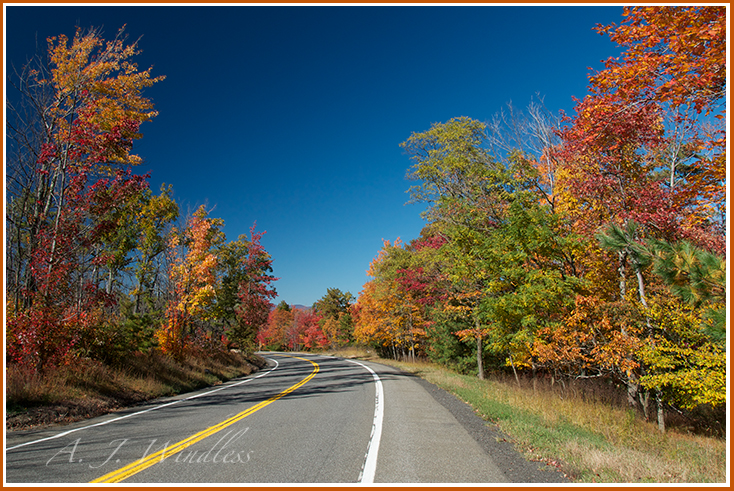 This country highway winds through brilliant fall colors with the deep blue sky above.
