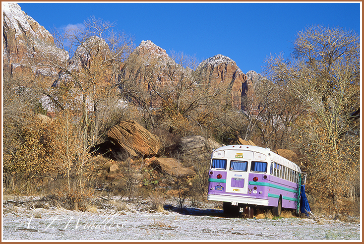 A purple painted bus looks abandoned at its camping spot in Zion Canyon