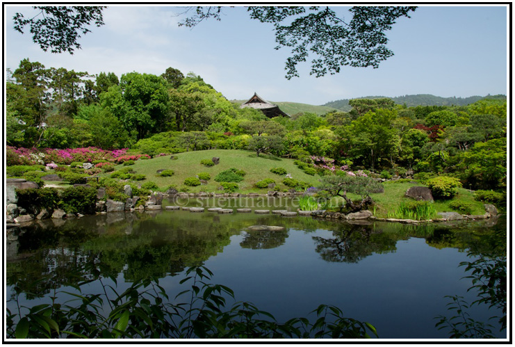 A beautiful view of Japan's Isuien gardens looking out through the leaves at a reflective pond of water.