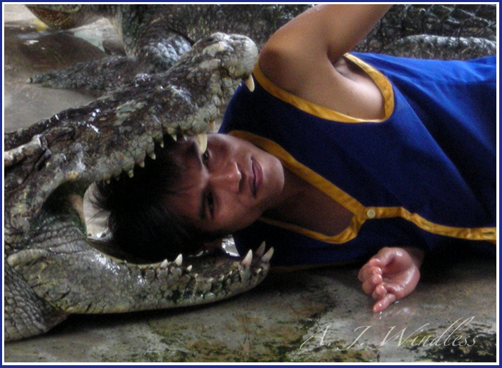 A Thai man puts his head into the open jaws of a crocodile.