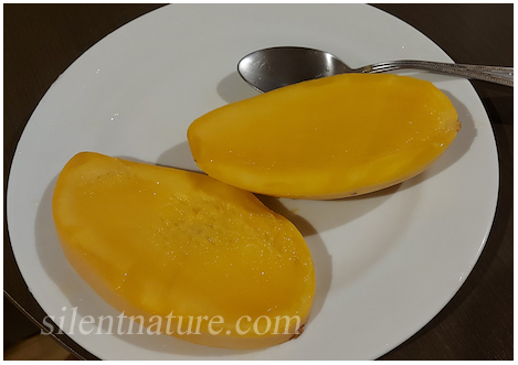 A bright yellow nam dok mai mango sliced open showing its delicious fruit.