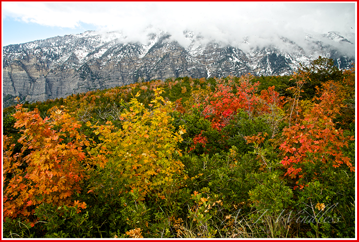 Autumn colors spread across a hillside while a mountain rises up to meet the clouds.