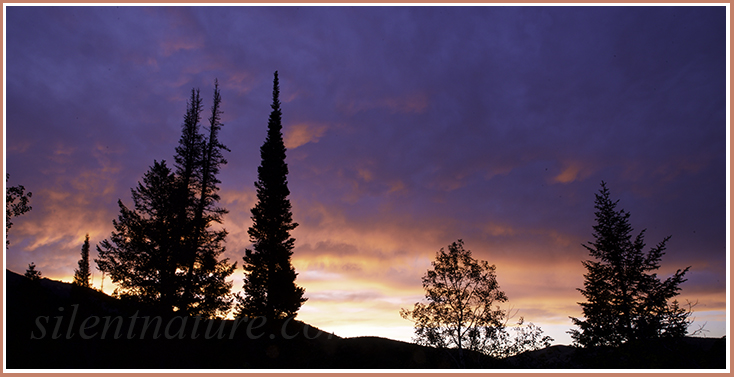 The sunset light colors clouds that drift over the ridgeline from the west while a few tall pine trees add emphasis.