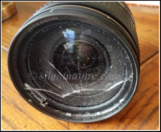 Broken Glass Camera Lens