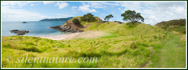 A perfectly little well kept spot in the grass, below the hill and trees, and next to the sea.