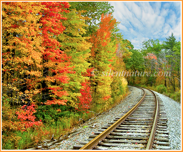 A conductor's view as the railroad tracks go around the bend and through the autumn colors.