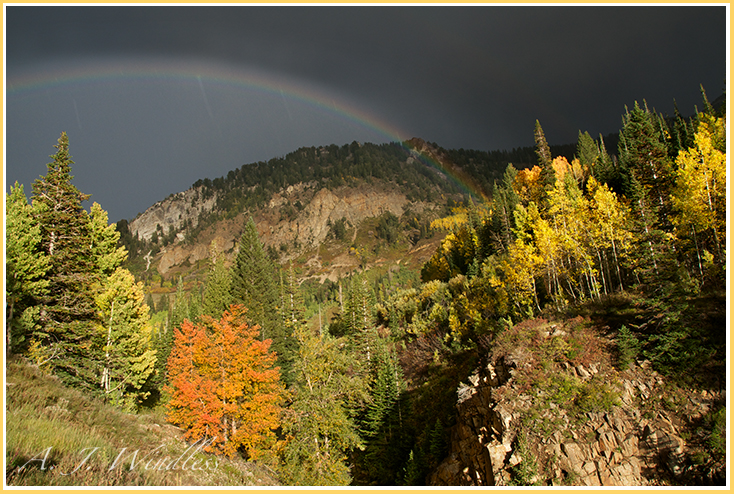 A glorious rainbow spans fall colors in the midst of this mountain canyon.
