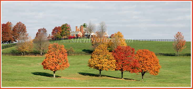 A handsome West Virginia horse ranch splattered with autumn colors.
