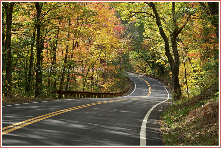 A Massacusetts road winds through the autumn colors of the deep forest.
