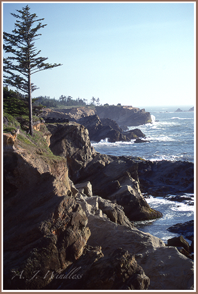 Jagged and rugged cliffs line this Oregon shoreline.