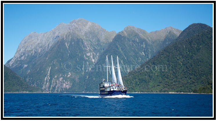 A beautiful ship sails by the peaks of Milford Sound.