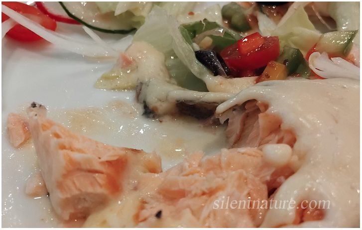 A close look at how tender this cheese covered salmon is.