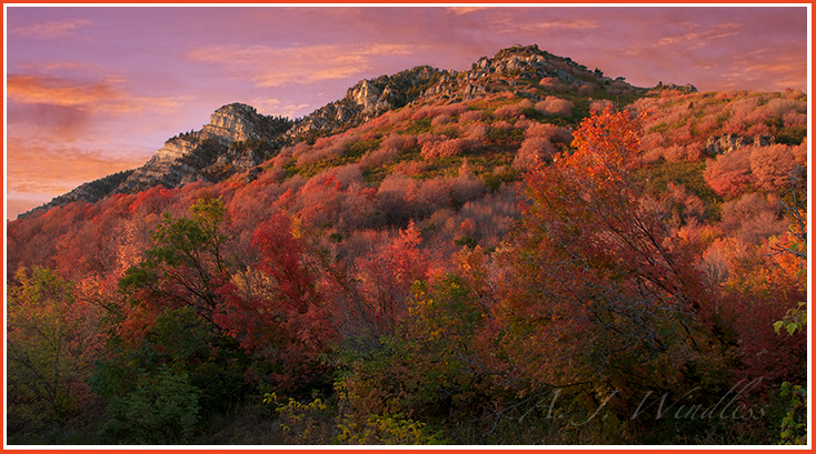 A mountainside covered with autumn colors is totally aglow with the sun's last rays.