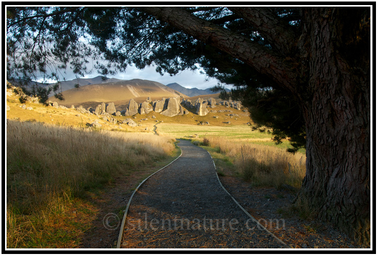 At sunrise this trail runs under the tree and toward the rock formations.
