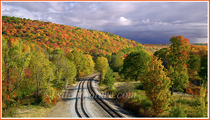 Double train tracks wind through hills of fall colors.