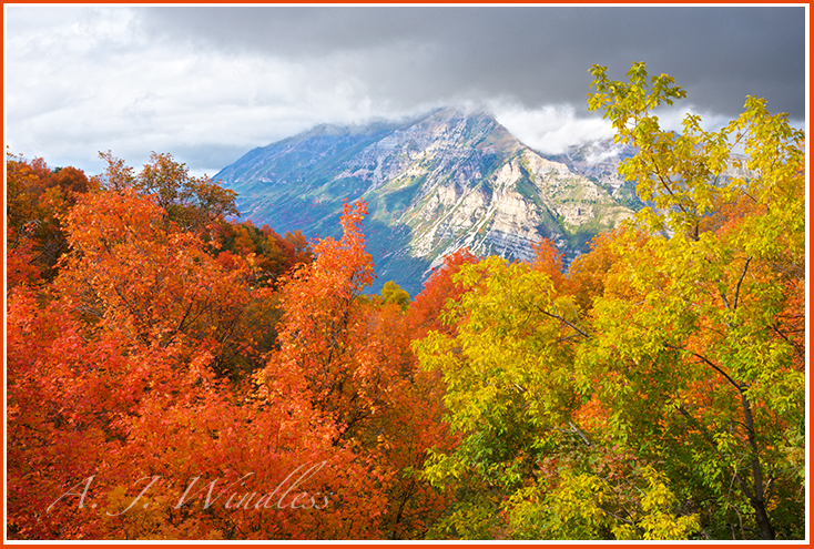 View of the mountain as seen through a forest of fall colors.
