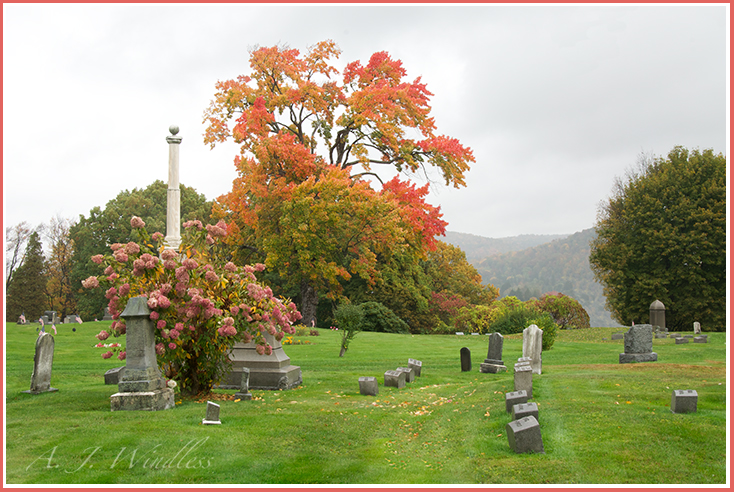 A maple tree in vivid autumn colors, along with pink flowers, help commerate those who have gone.