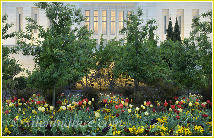 Lights from inside illuminate the windows over the flower garden of the Ogden Temple. 